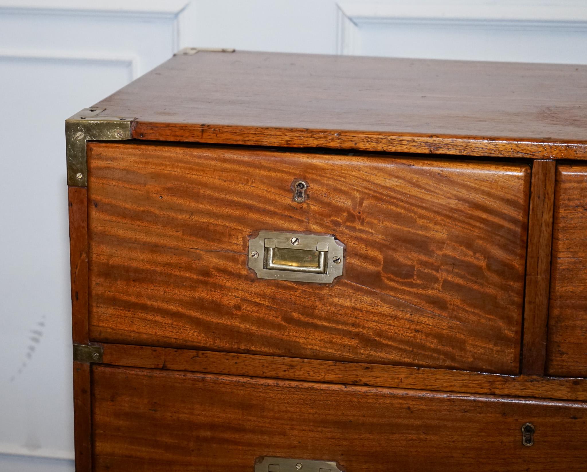ANTIQUE 19TH CENTURY SATINWOOD MILITARY CAMPAIGN CHEST OF DRAWERS LOTS OF PATiNA For Sale 8