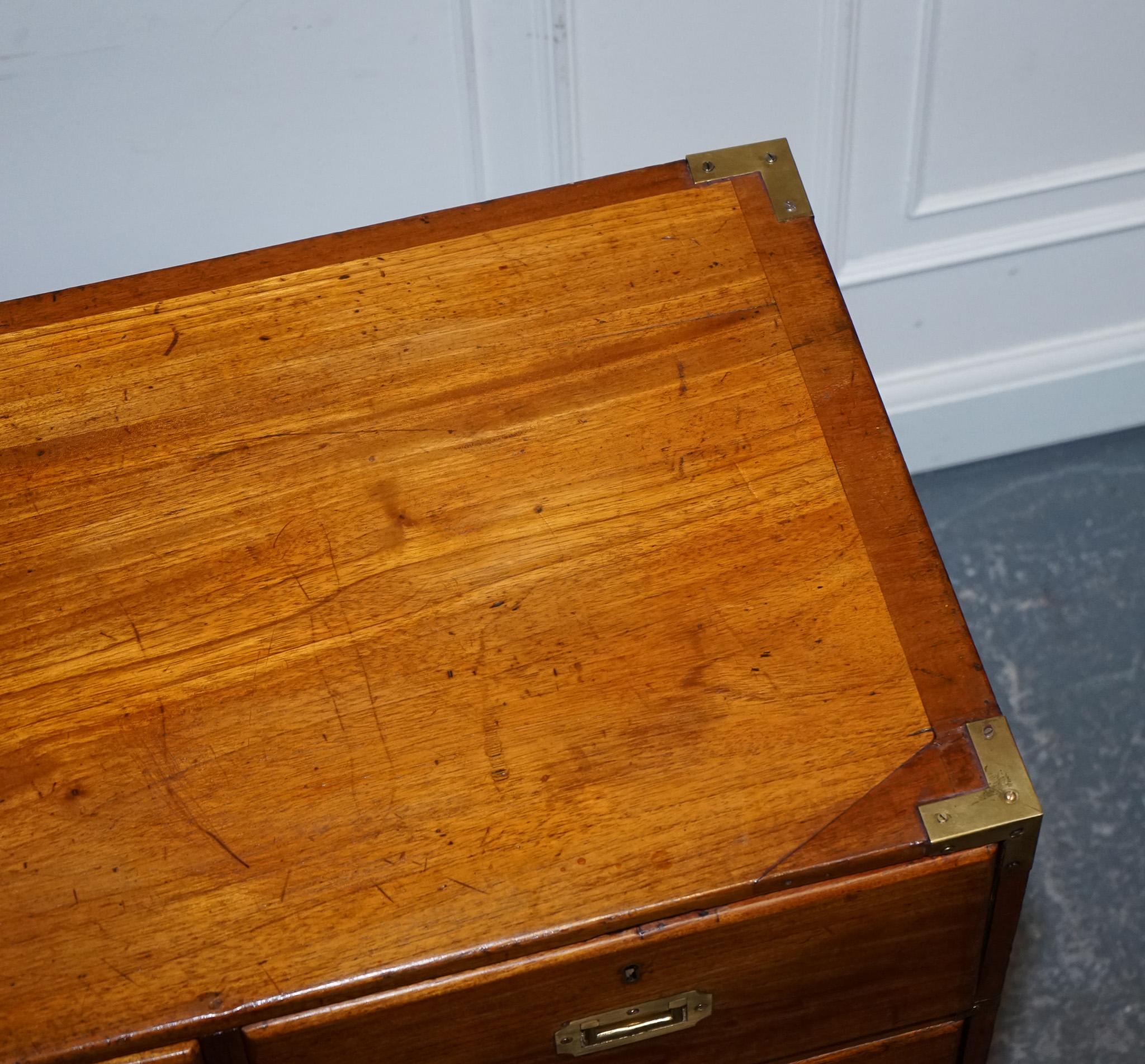 ANTIQUE 19TH CENTURY SATINWOOD MILITARY CAMPAIGN CHEST OF DRAWERS LOTS OF PATiNA For Sale 2