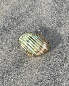 ANTIQUE SEASHELL PILLBOX DU 19e SIÈCLE