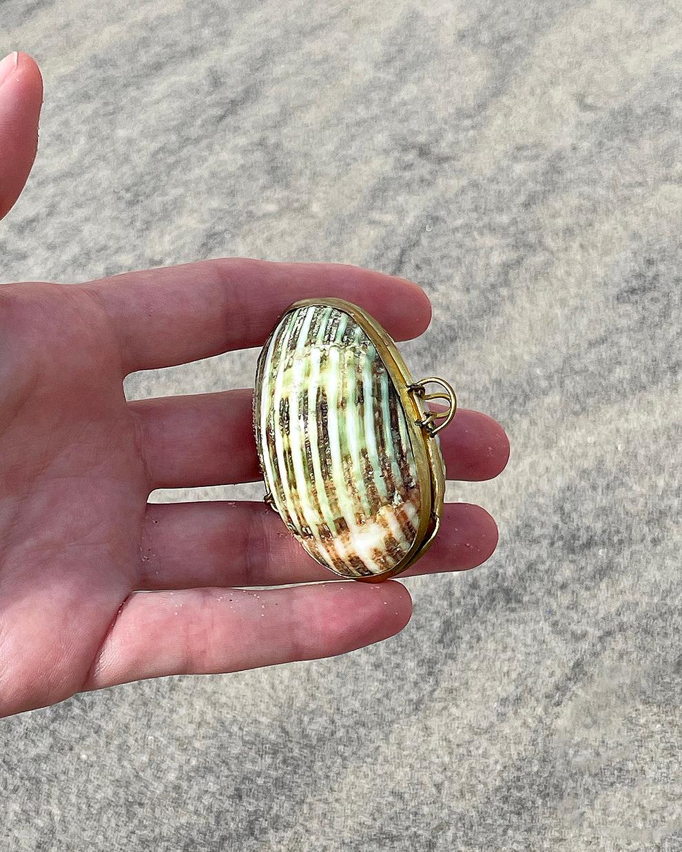 ANTIQUE 19th CENTURY SEASHELL PILLBOX In Excellent Condition For Sale In New York, NY