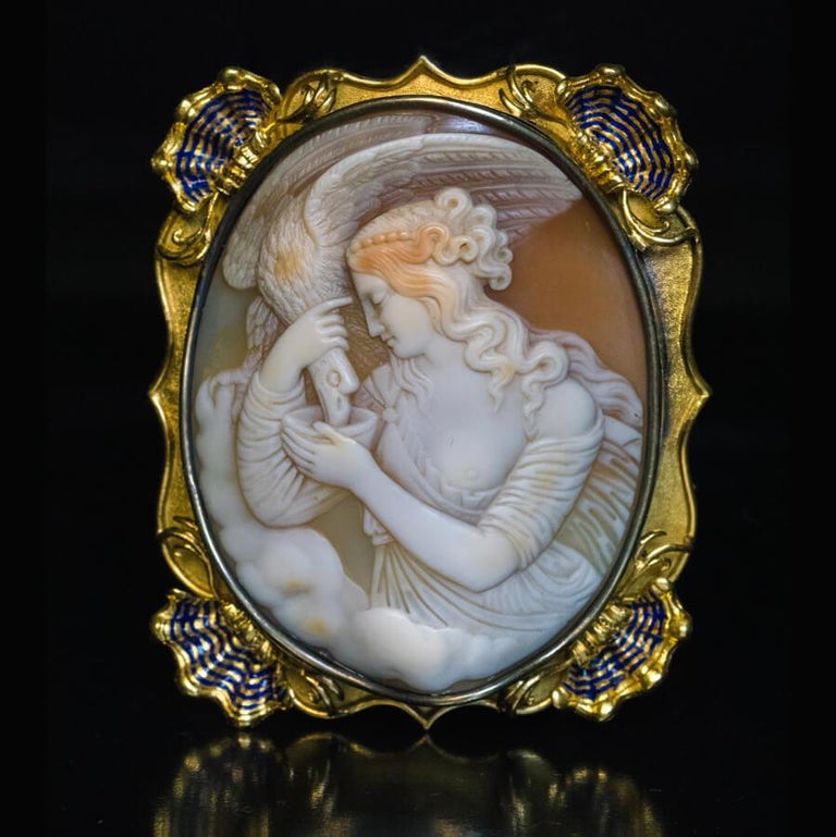 Women's Antique 19th Century Shell Cameo Gold Brooch For Sale
