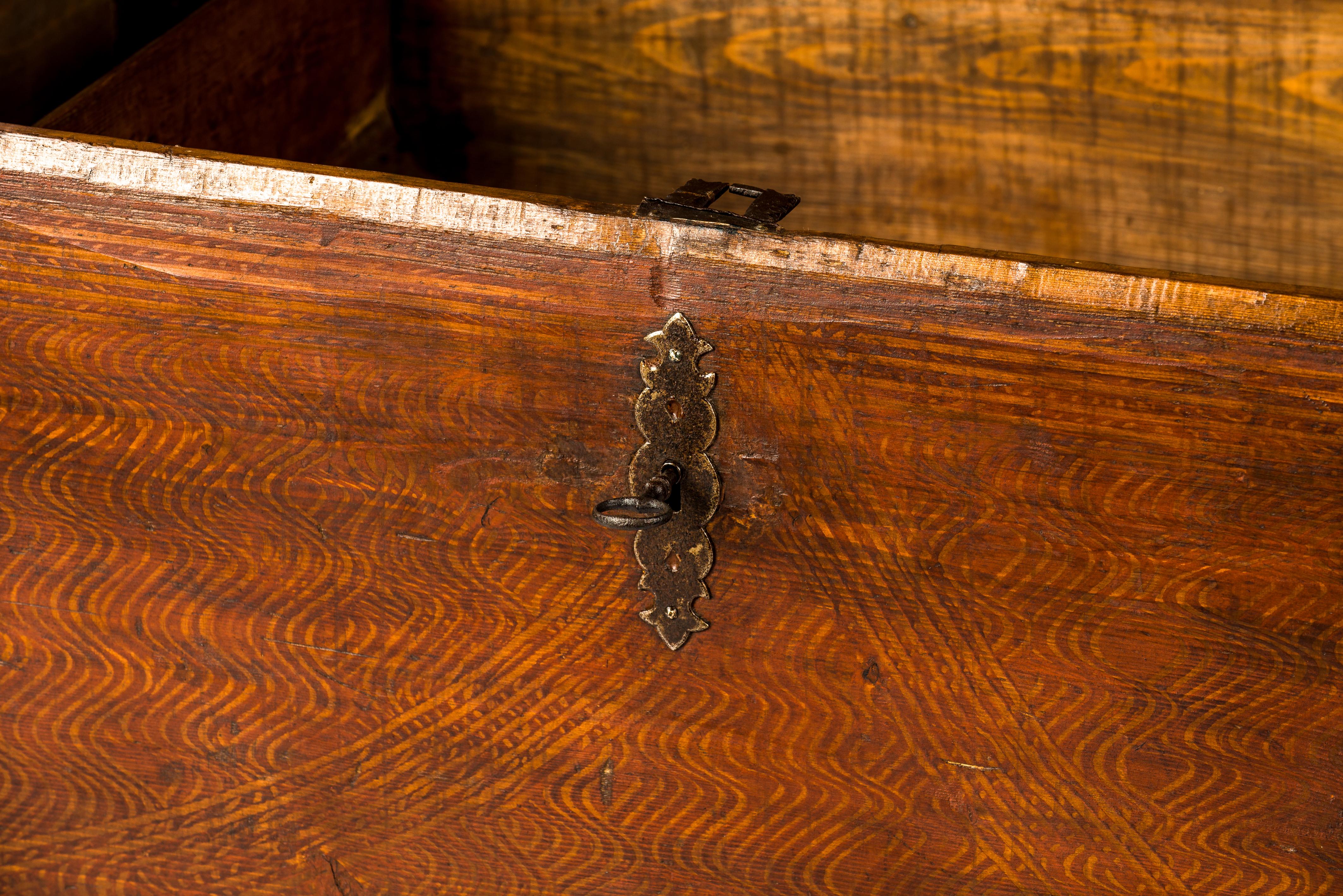 Antique 19th-Century Solid Pine and Traditional Painted Austrian Trunk or Chest For Sale 7