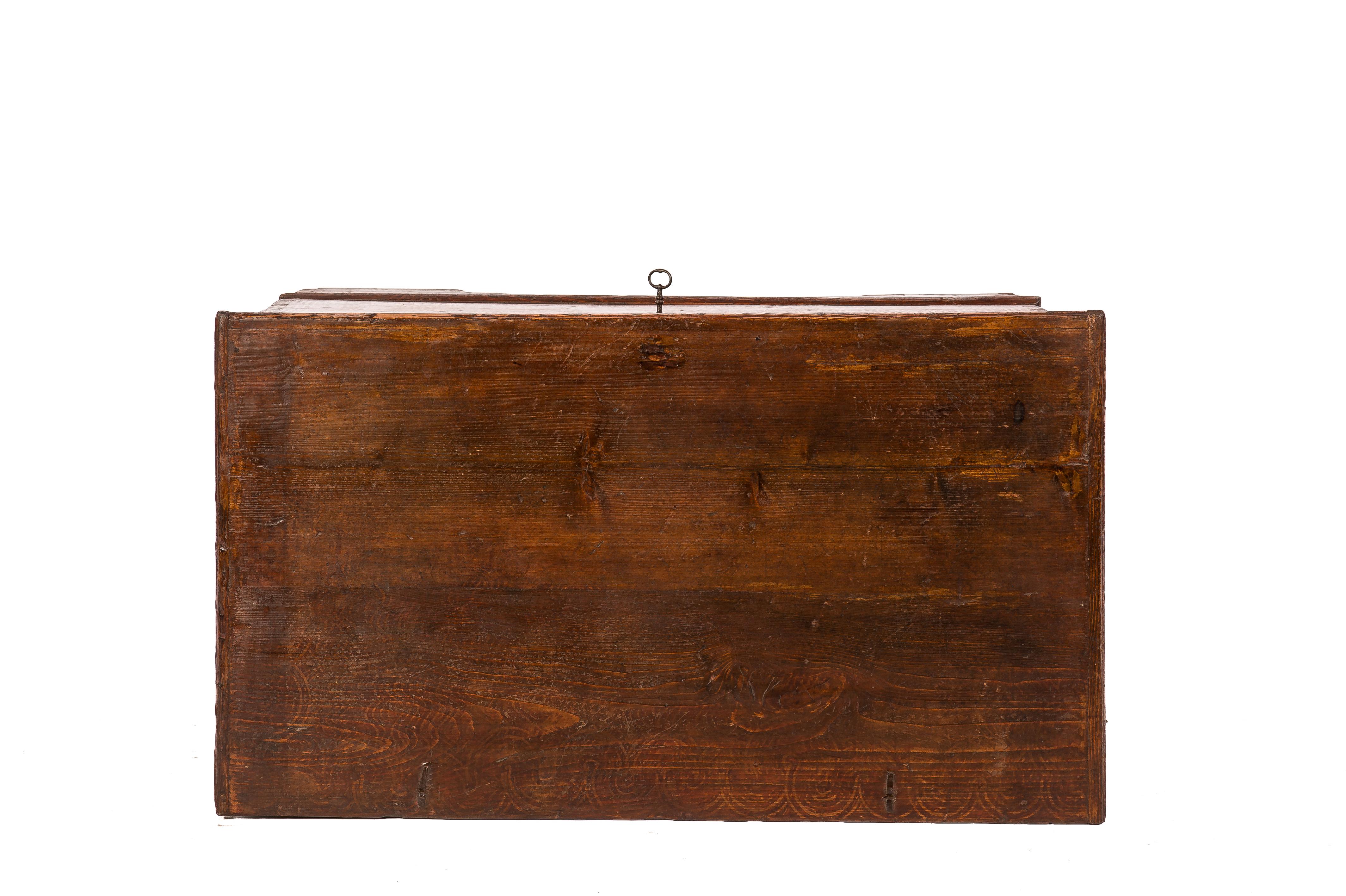 Antique 19th-Century Solid Pine and Traditional Painted Austrian Trunk or Chest For Sale 3