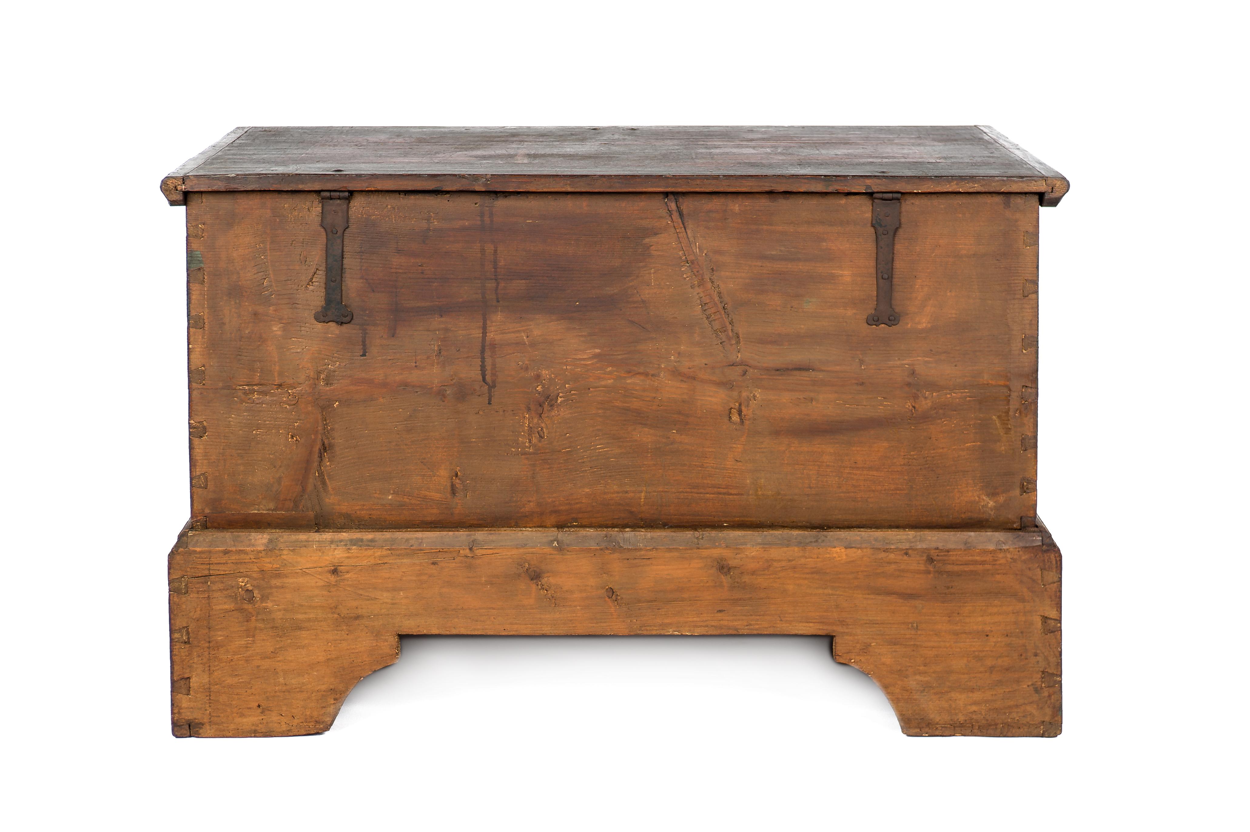 Antique 19th Century Solid Pine and Traditional Painted Bohemian Trunk or Chest For Sale 3