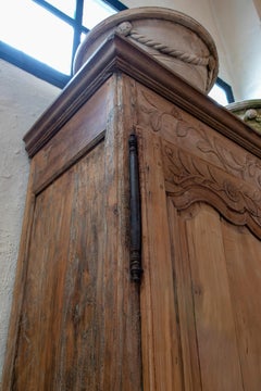 Antique 19th Century Spanish Handmade 2-Door Wooden Wardrobe w/ Plant Reliefs
