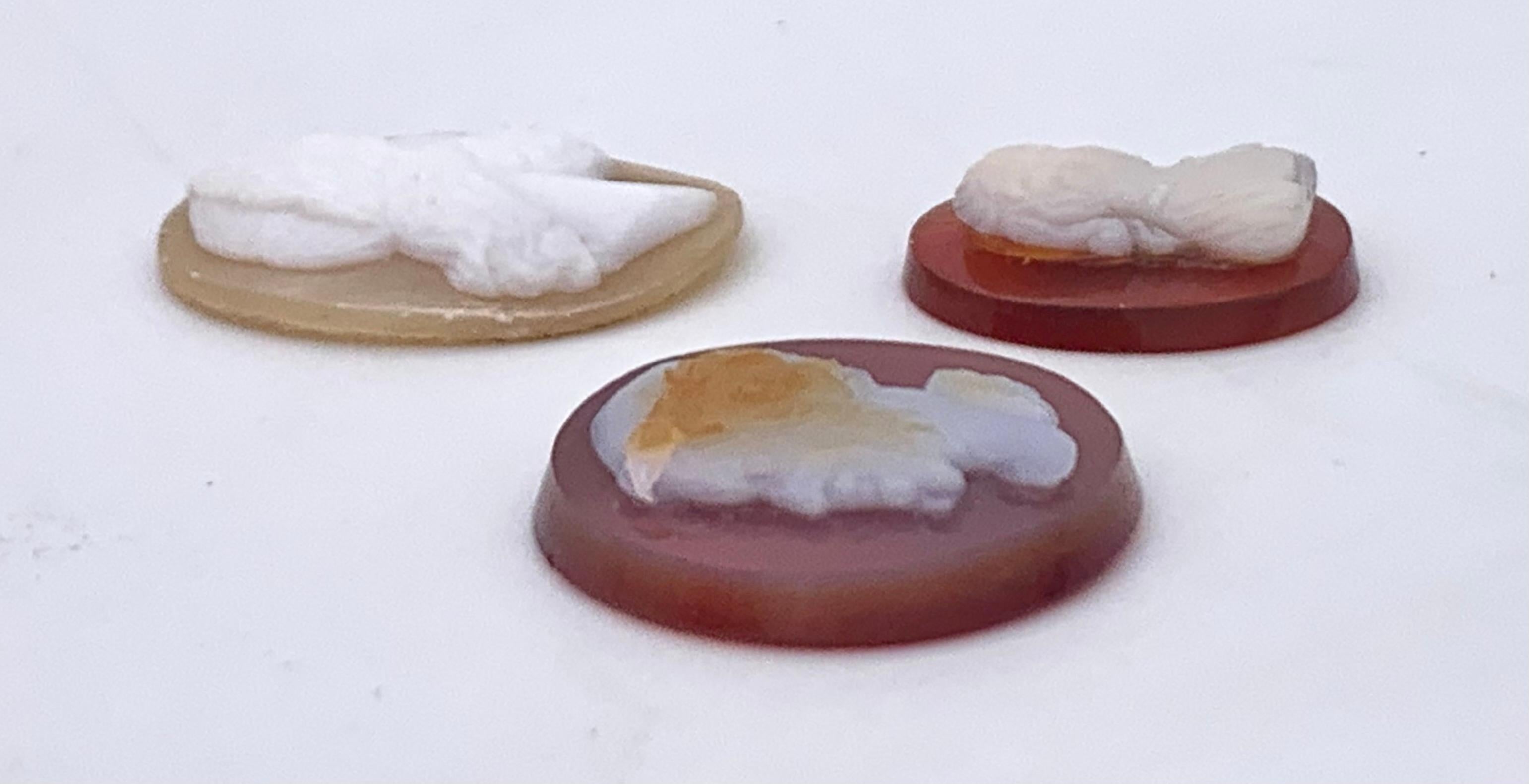 A round Carnelian cameo depicts a laureate after an antique model. The three colour cameo shows a profile bust of a bearded man. This cameo has a diameter of 2 cm.
The small oval two layer cameo depicts an early Victorian beauty with an elaborate