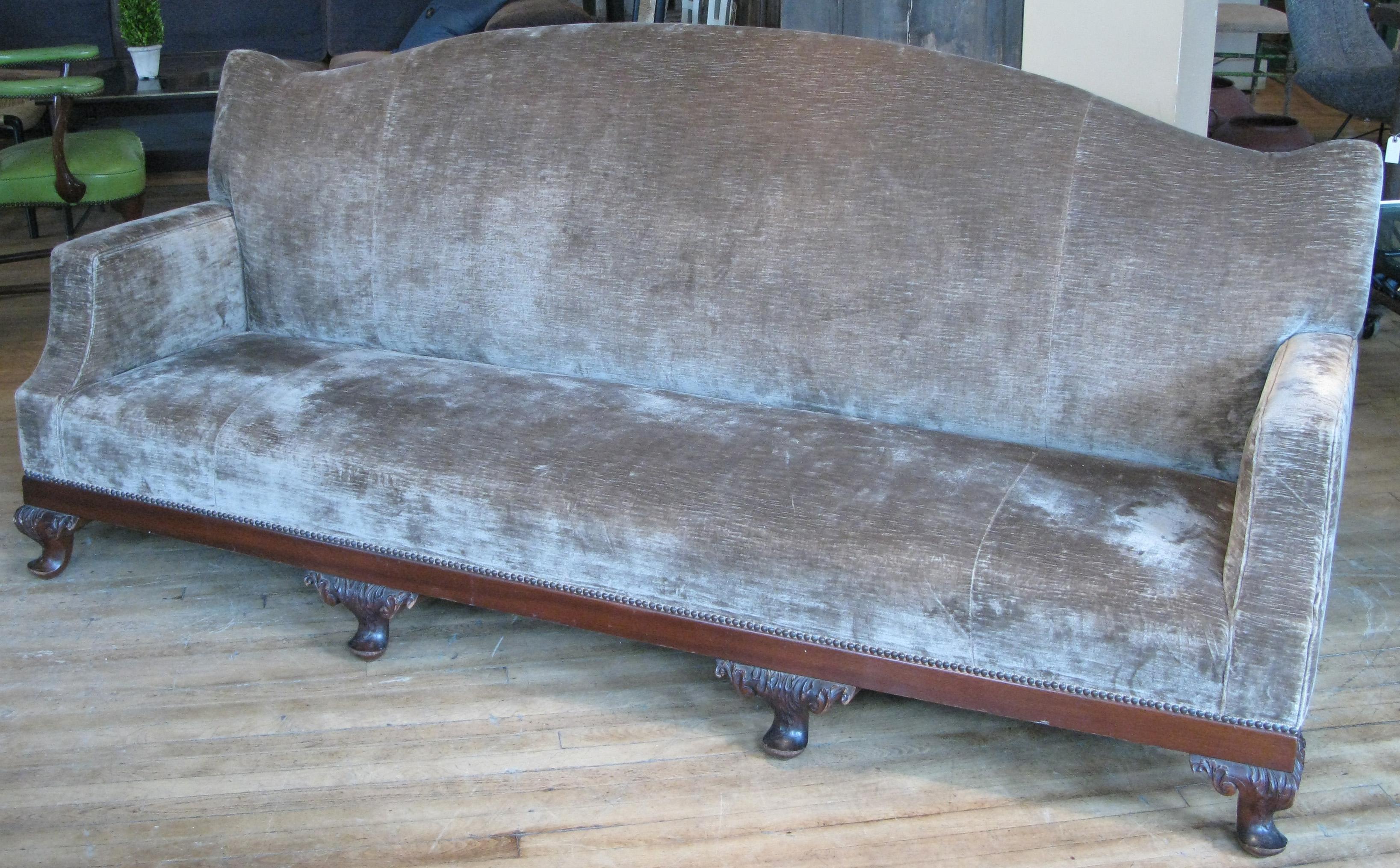a beautiful large late 19th century sofa with curved top back and brown velvet upholstery. gorgeous design and scale.