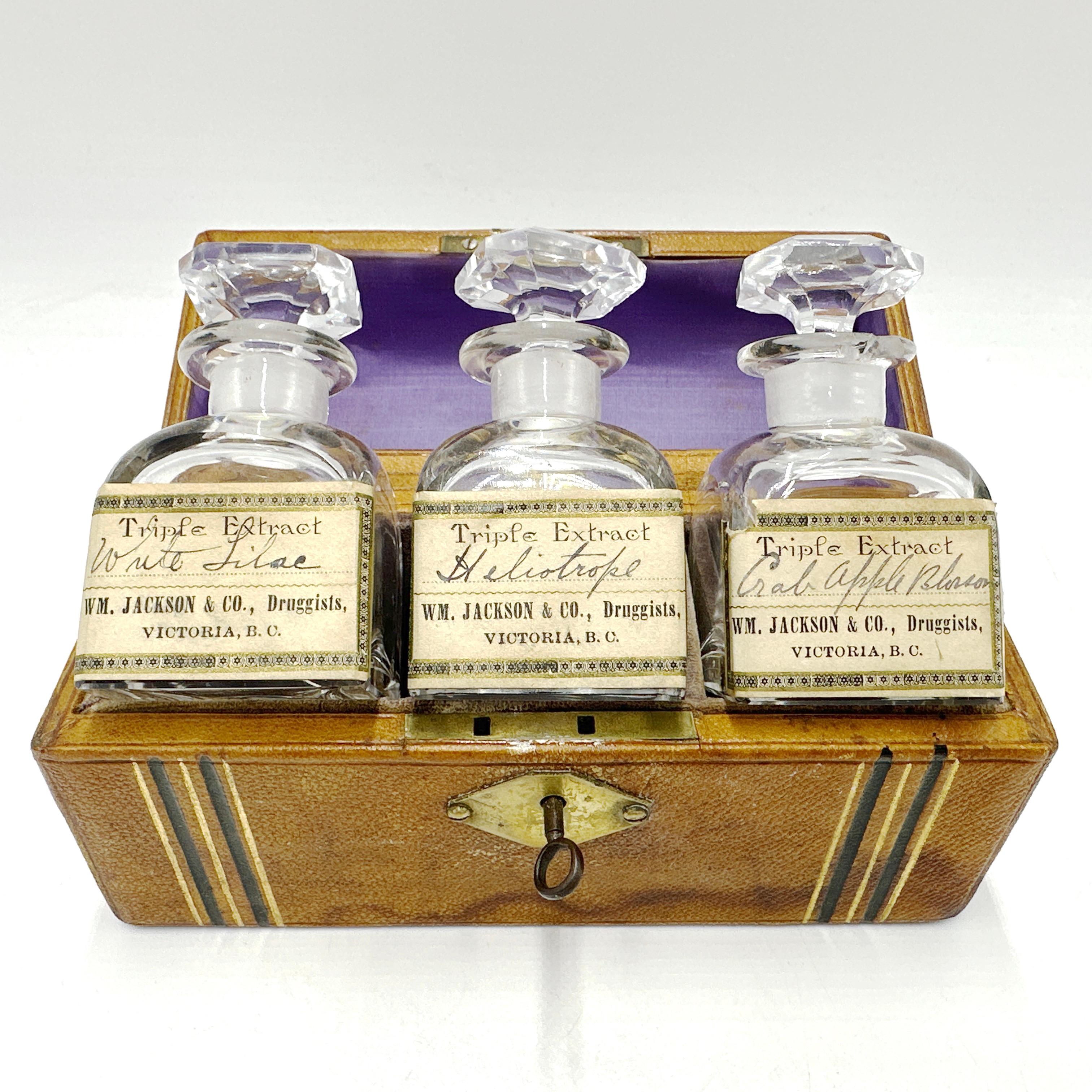 Set de bocaux d'apothicaire à emporter, Antiquité 19ème siècle Victoria BC en vente 9