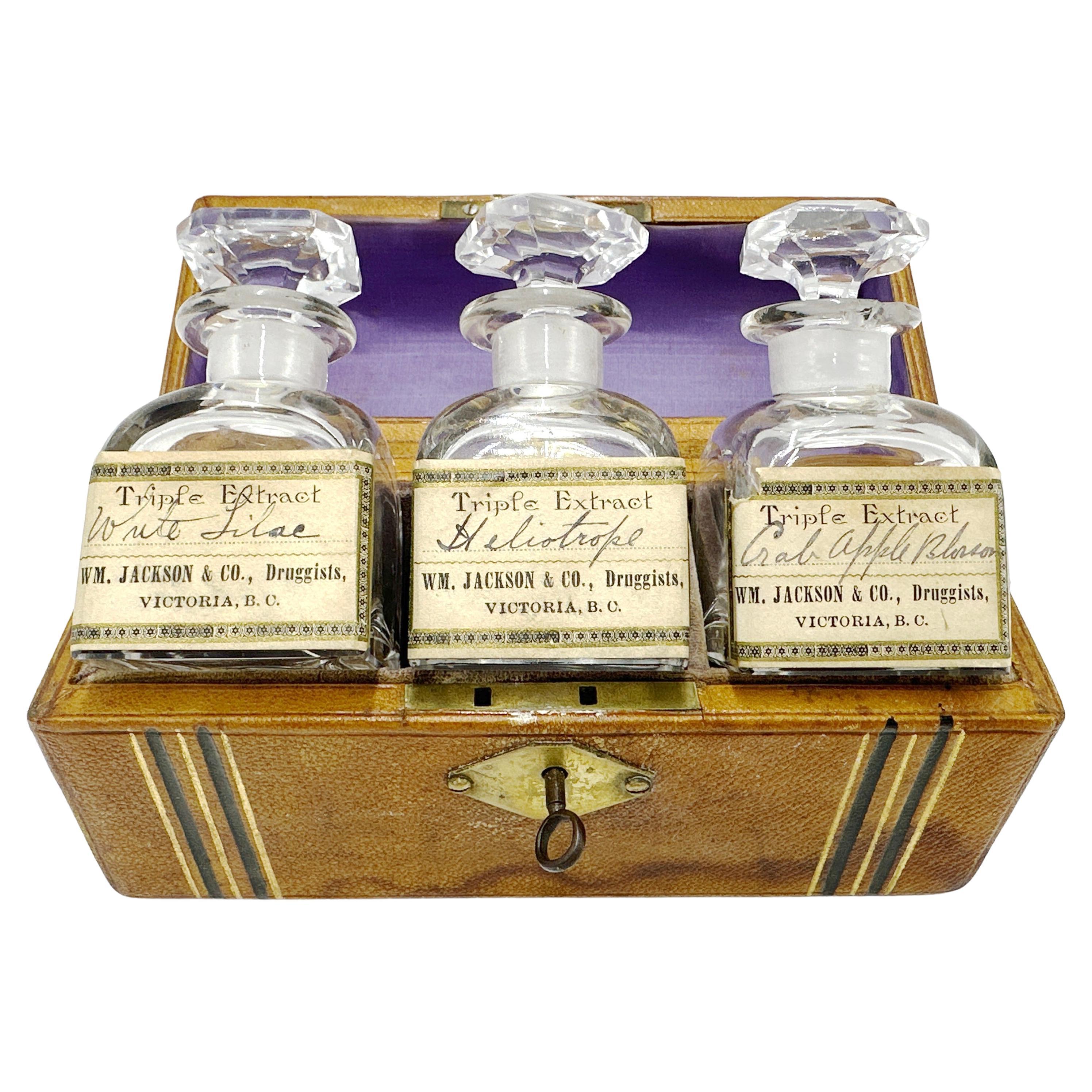 Set de bocaux d'apothicaire à emporter, Antiquité 19ème siècle Victoria BC en vente