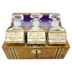 Set de bocaux d'apothicaire à emporter, Antiquité 19ème siècle Victoria BC