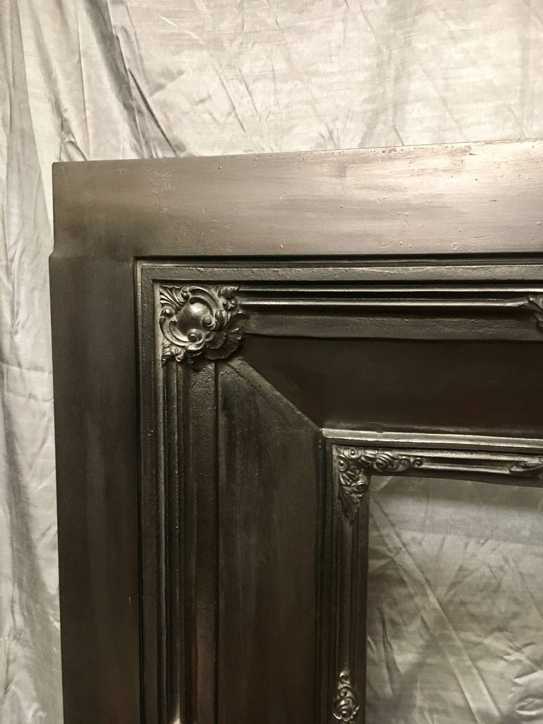 Antique 19th Century Victorian Cast Iron Insert Fireplace For Sale
