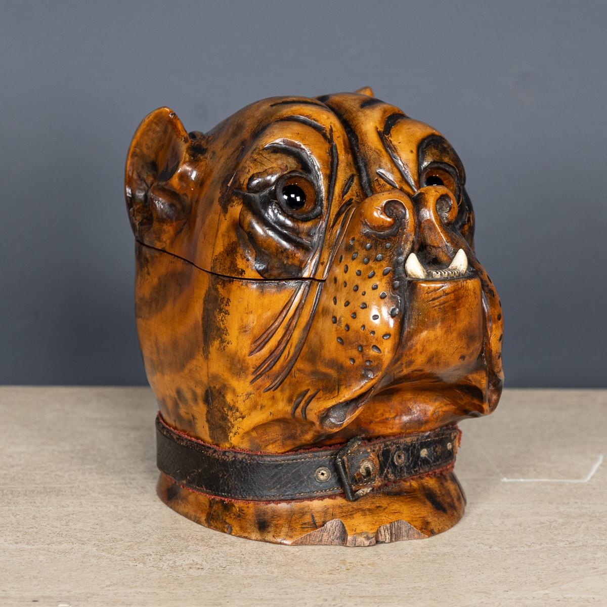 Antique 19th Century Victorian lignum vitae tobacco jar carved in the form of a bulldog head. The detail is of exceptional quality, featuring glass eyes, small pretruding white teeth from the bottom jaw and a black leather collar around the base. It