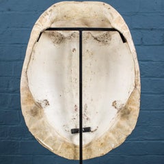 Antique 19th Century Victorian Mounted Blonde Turtleshell, circa 1890