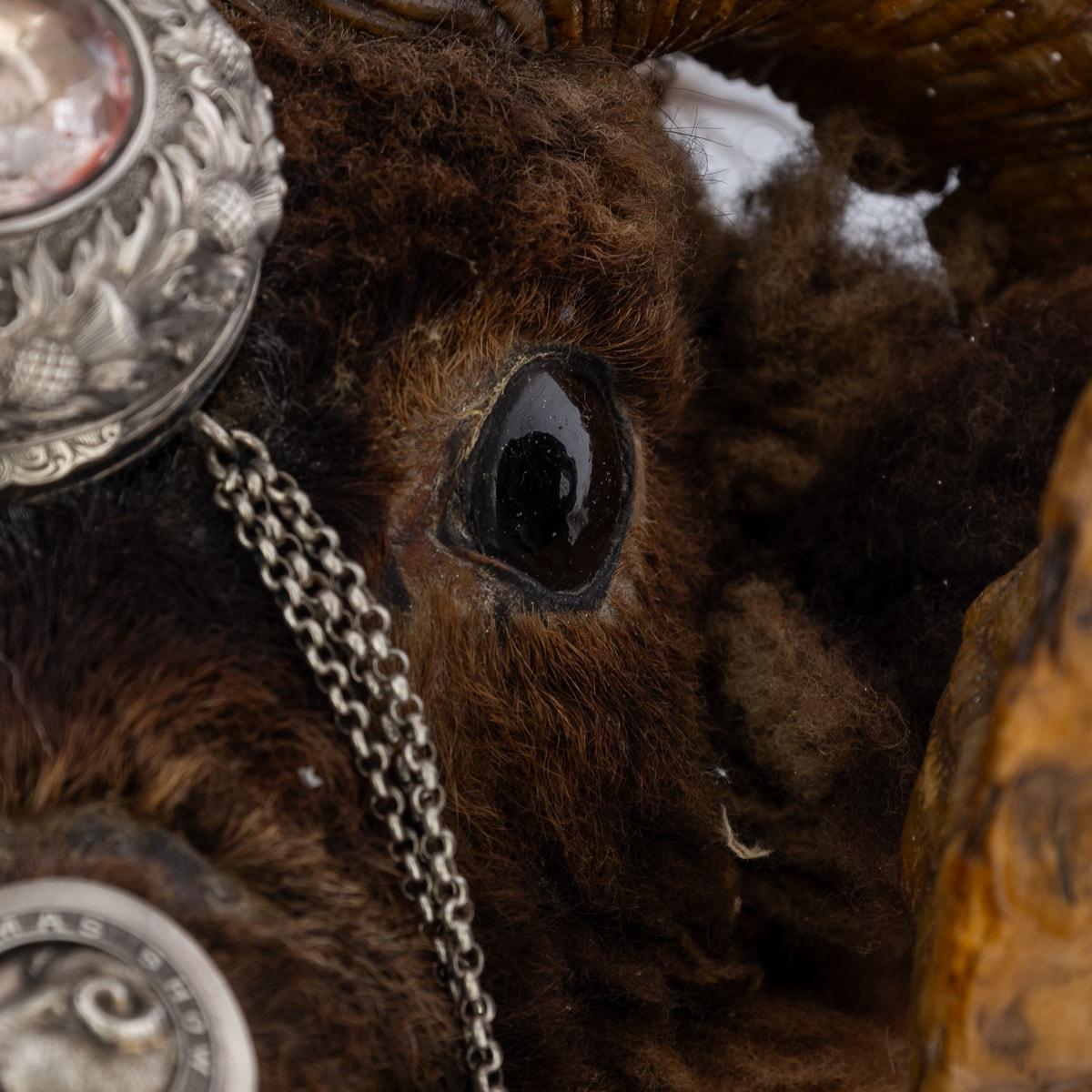 Antique 19th Century Victorian Silver Mounted Ram’s Head Snuff Mull c.1874 For Sale 13