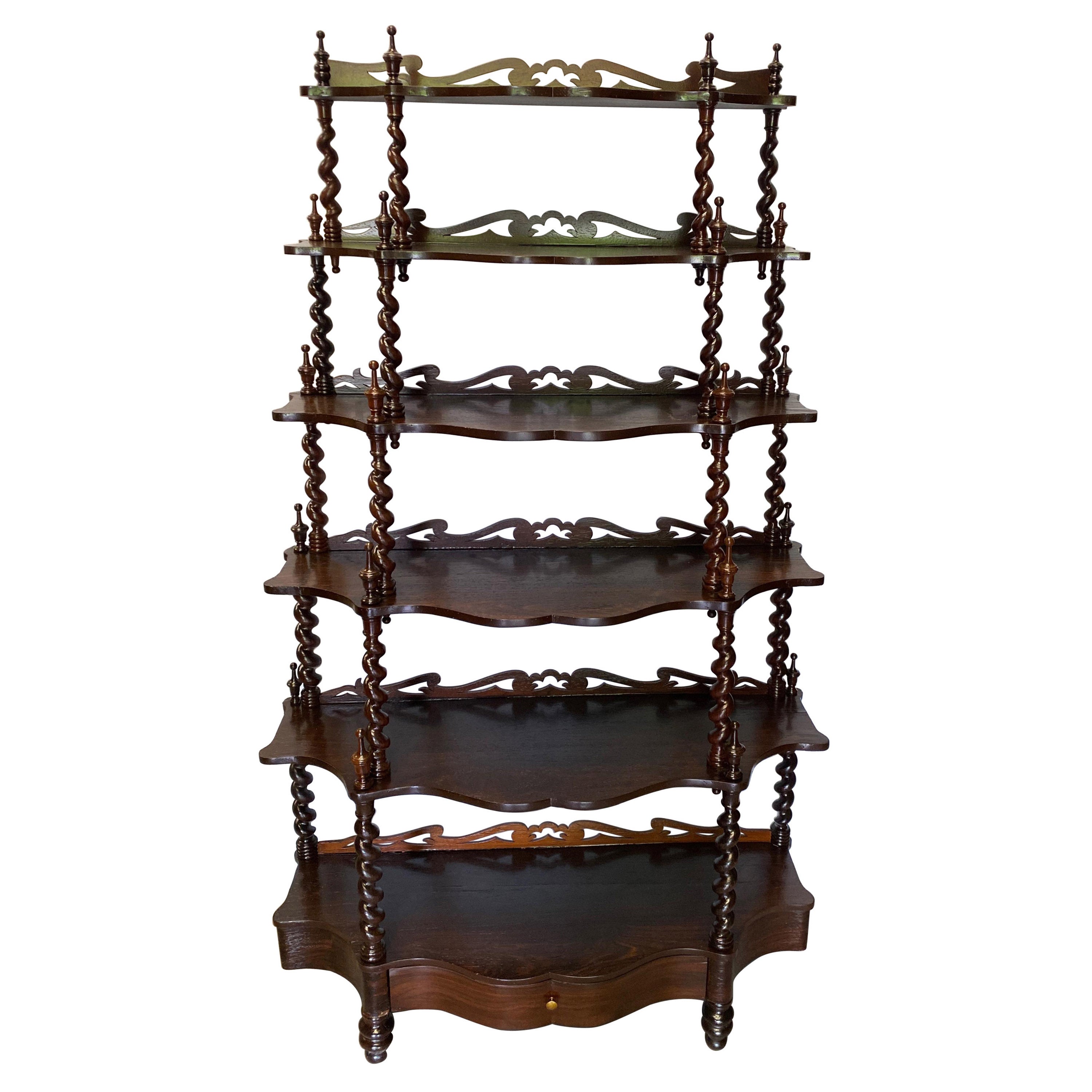 Antique 19th Century Walnut Barley Twist Bookcase Etagere