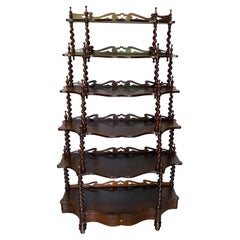 Antique 19th Century Walnut Barley Twist Bookcase Etagere