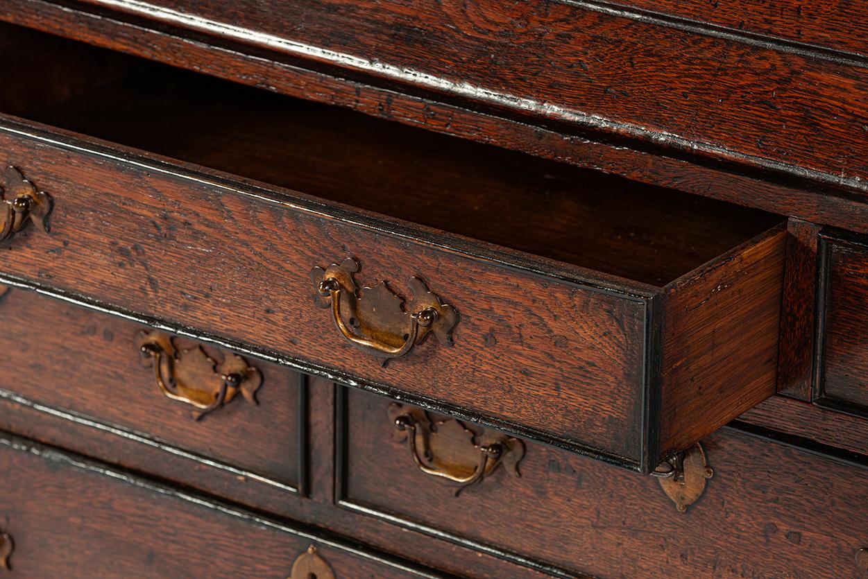 Antike 19. Jahrhundert warmes Braun Englisch Oak Regency  Schreibtisch mit schräger Front im Angebot 5