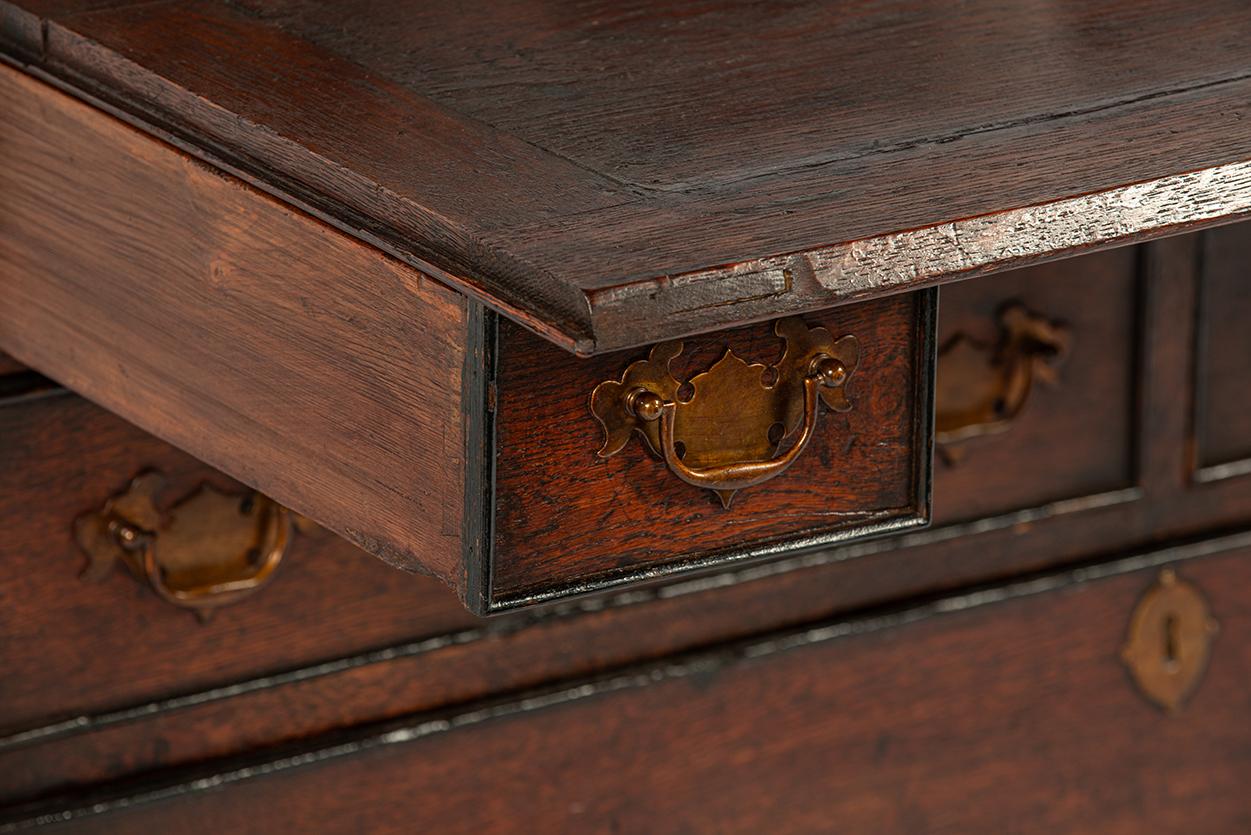 Antike 19. Jahrhundert warmes Braun Englisch Oak Regency  Schreibtisch mit schräger Front im Angebot 10