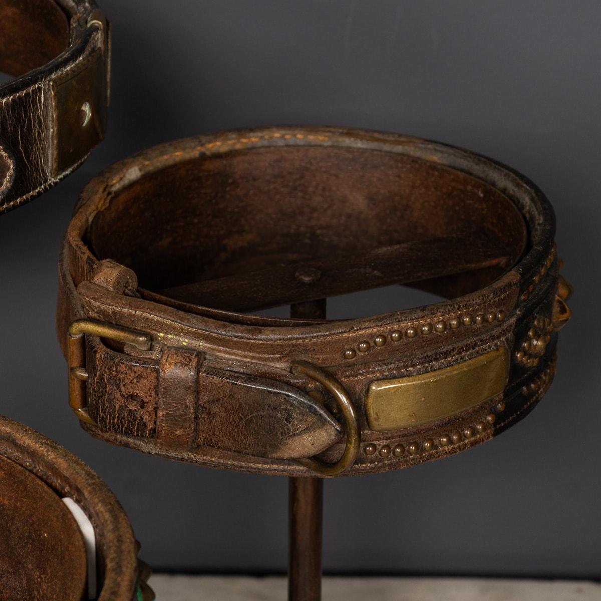 Antico XIX  Collection'S di sette collari per cani in pelle e metallo su supporto c.1800 in vendita 12