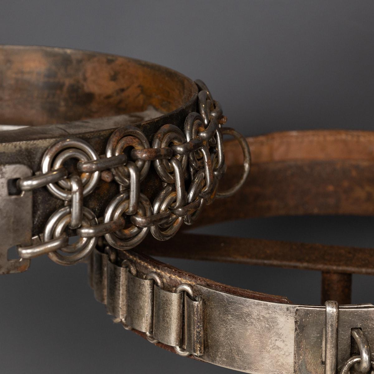 Britannico Antico XIX  Collection'S di sette collari per cani in pelle e metallo su supporto c.1800 in vendita