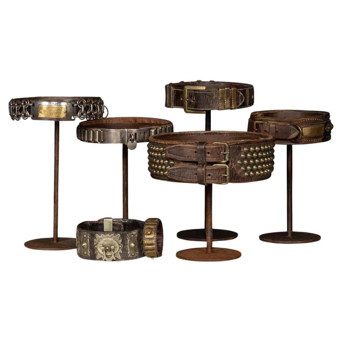 Antique 19th  Collection Of Seven Dog Collars In Leather & Metal On Stand c.1800