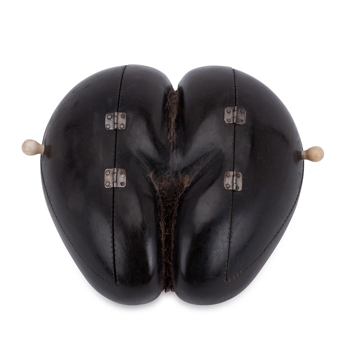 A beautiful coco de mer nut with two hinged compartments open dating to the latter part of the 19th century.
The coco de mer nut (scientific name: Lodoicea )is a very rare seed native to the Seychelles in the Indian Ocean, its suggestive form