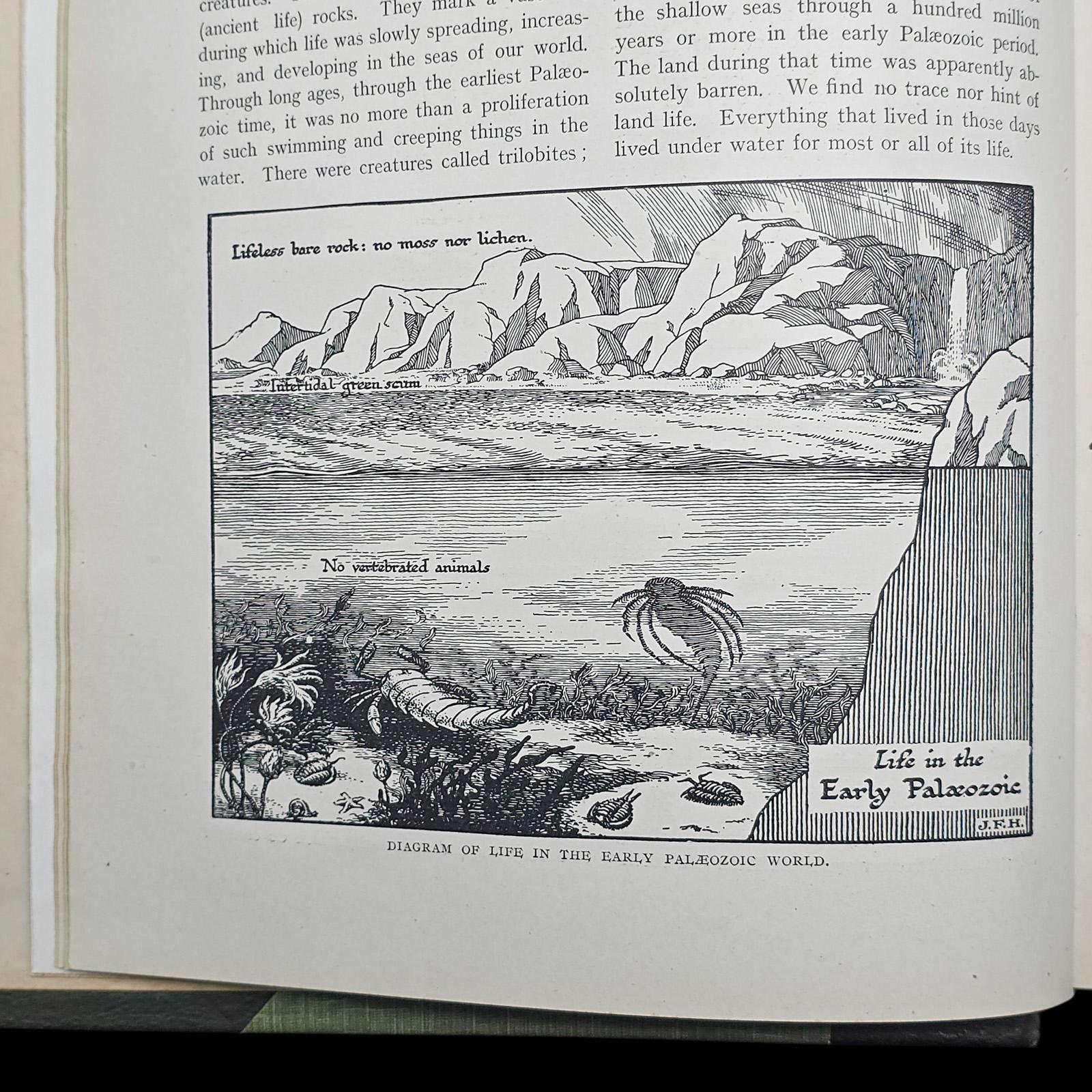 Antik, 2 Bände, HG Wells, Der Umriss der Geschichte, Nachschlagewerk, CIRCA 1920 im Zustand „Gut“ im Angebot in Hele, Devon, GB