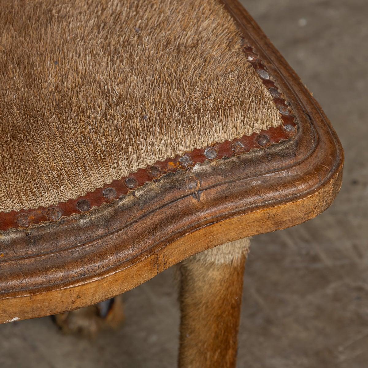 Antikes österreichisches Paar Hallenstühle aus Hirschgeweih des 20. Jahrhunderts, um 1900 im Angebot 12