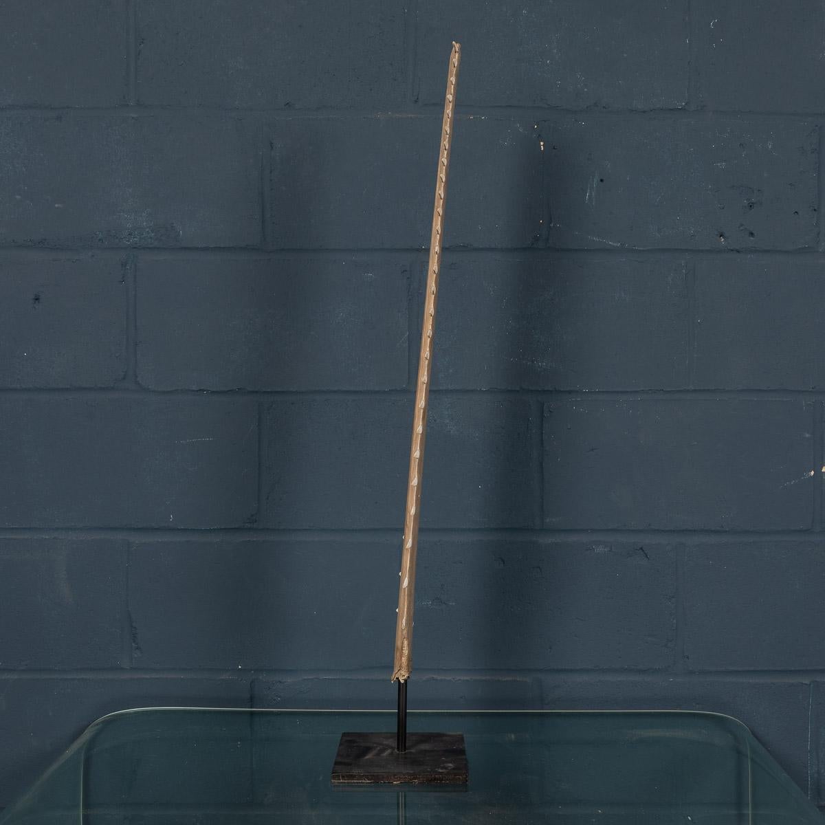Antique 20th Century Edwardian Mounted Sawfish Rostrum, circa 1900 2