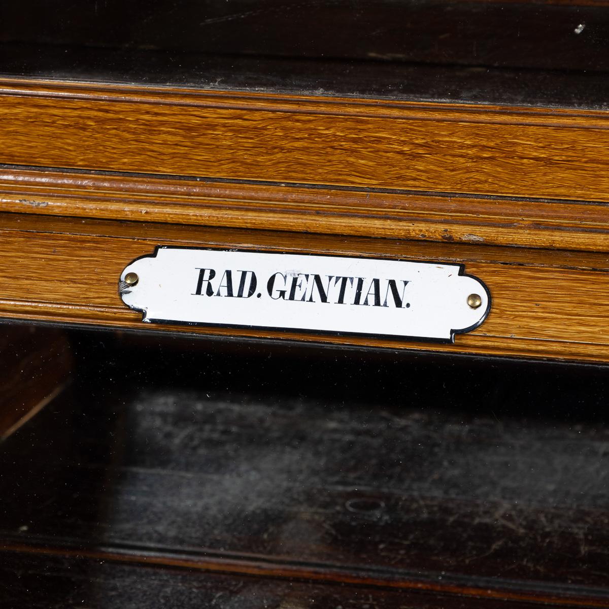 Antiguo Gabinete de Farmacia Francés del Siglo XX de Pino Desmenuzado y Cristal c.1900 siglo XX en venta