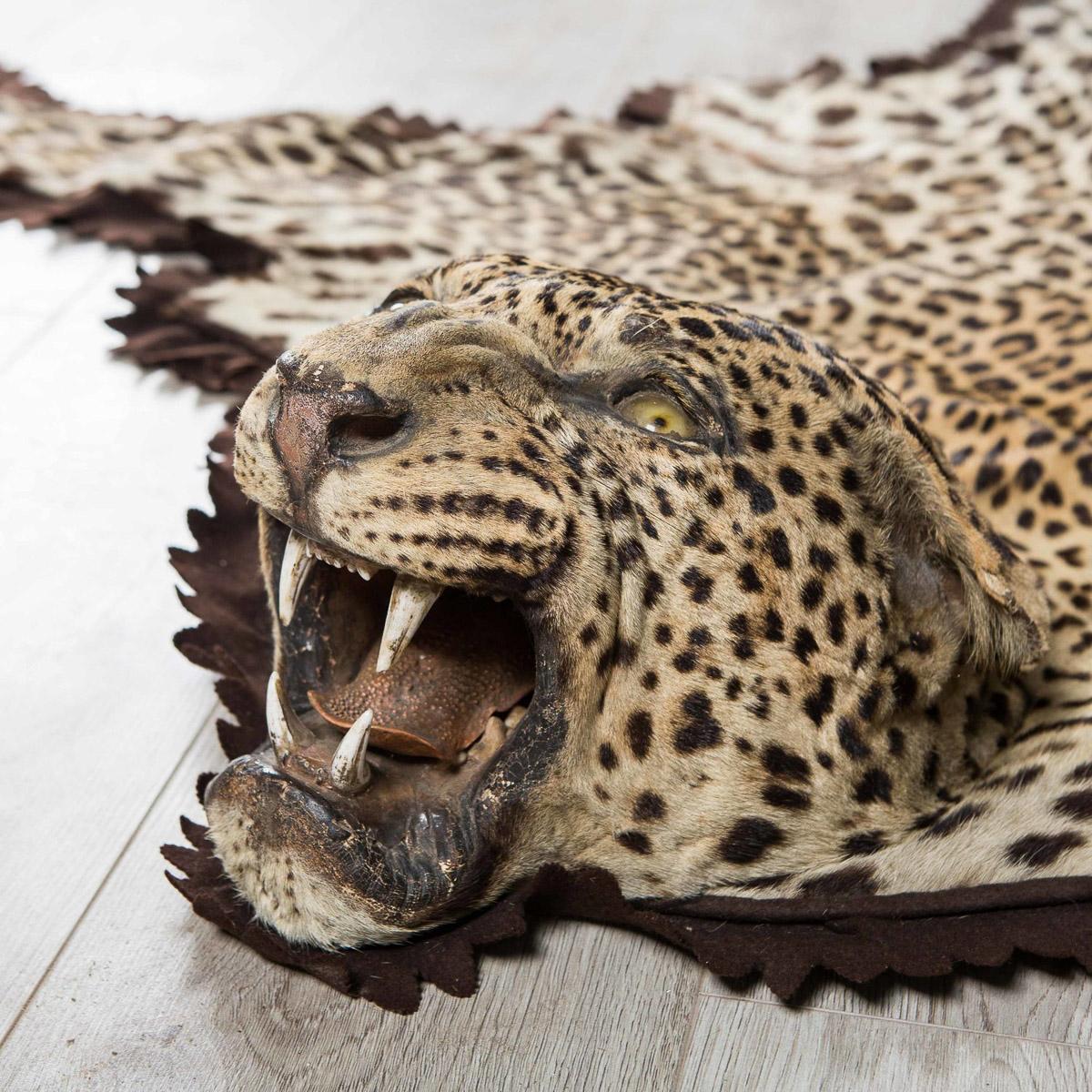 leopard rug with head