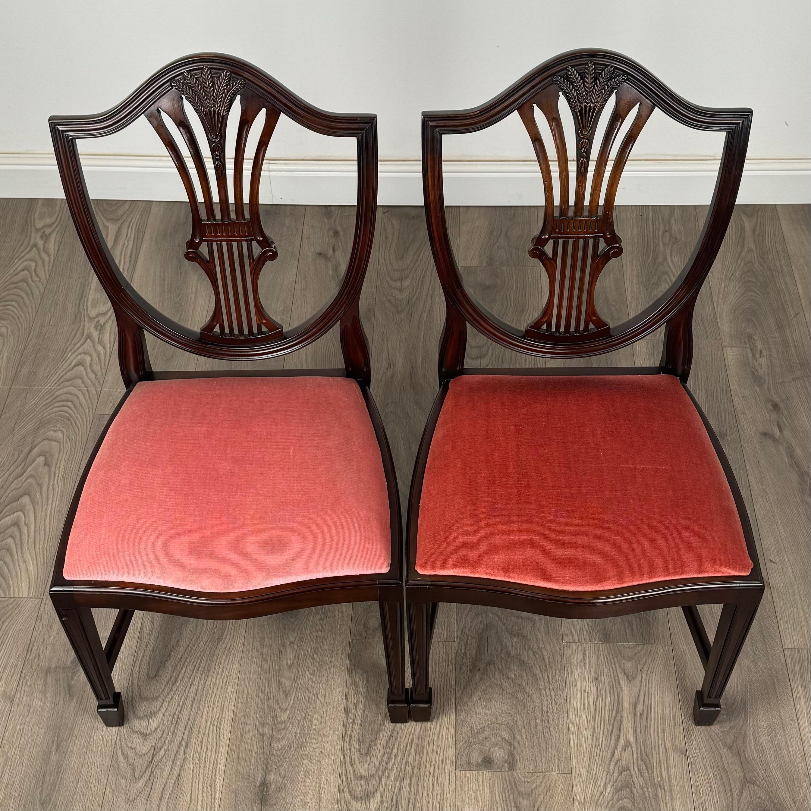 Mogano Antico set di 10 sedie da pranzo in stile Hepplewhite del XX secolo ( REF AFS-3459 ) in vendita