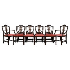 Ensemble de 10 chaises de salle à manger anciennes du 20ème siècle de style Hepplewhite ( REF AF-3459 )