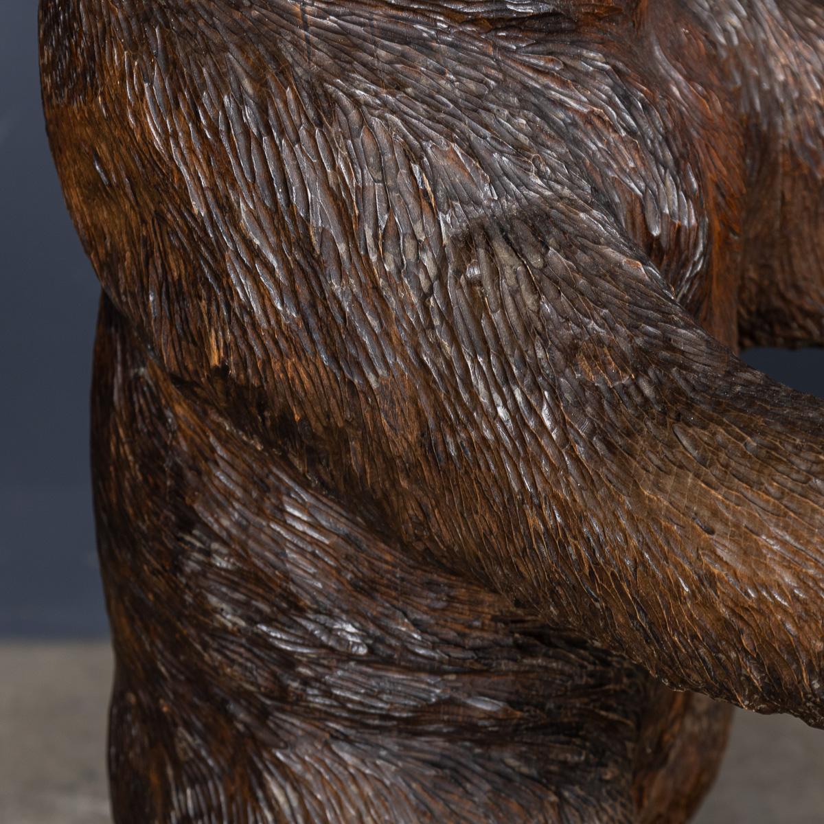 Antico bastone per orso Black Forest svizzero del 20° secolo c.1910 in vendita 8