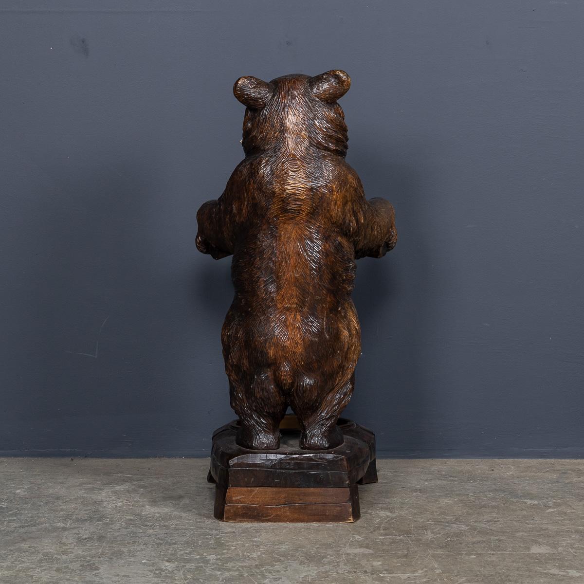 Antico bastone per orso Black Forest svizzero del 20° secolo c.1910 In condizioni buone in vendita a Royal Tunbridge Wells, Kent