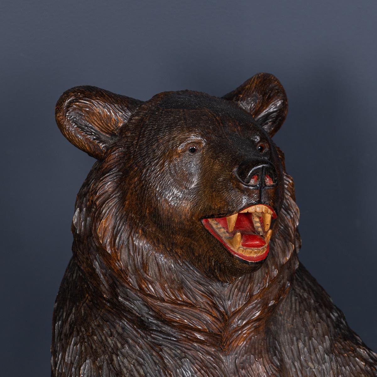 Legno Antico bastone per orso Black Forest svizzero del 20° secolo c.1910 in vendita