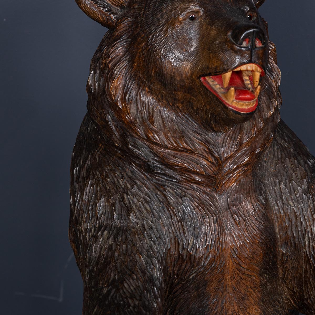 Antico bastone per orso Black Forest svizzero del 20° secolo c.1910 in vendita 1