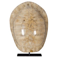 Antique 20th Century Victorian "Blonde" Turtle Shell On Stand c.1900