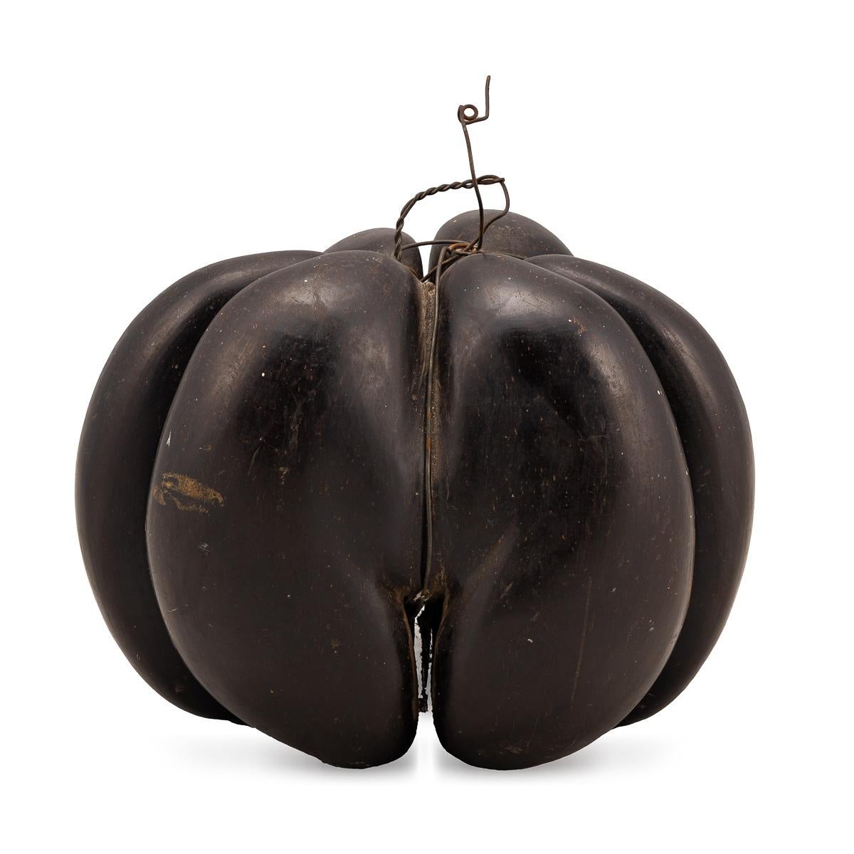 Seychellois Antique 20thC Extremely Rare Polished Triple Coco De Mer Nut, Seychelles c.1900