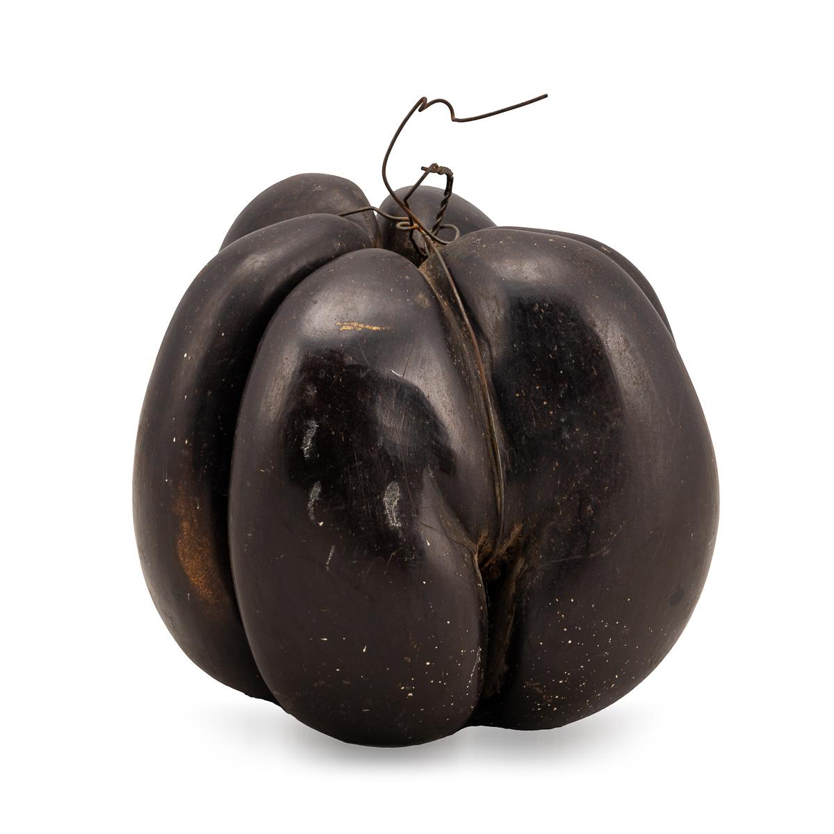 Antique 20thC Extremely Rare Polished Triple Coco De Mer Nut, Seychelles c.1900 In Good Condition In Royal Tunbridge Wells, Kent