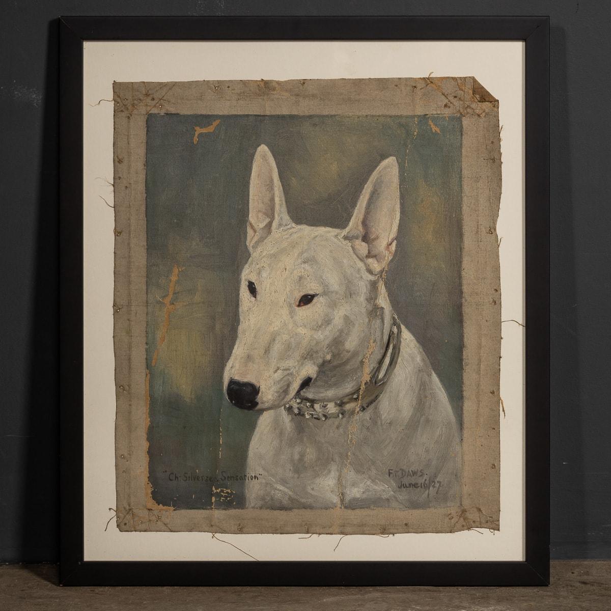 An antique 20th Century oil on canvas piece by Frederick Thomas Daws portraying an English Bull Terrier. Daws, famed for his depictions of champion dogs created this piece in the 1920's in England. This piece is signed F.T. Daws. This rare and