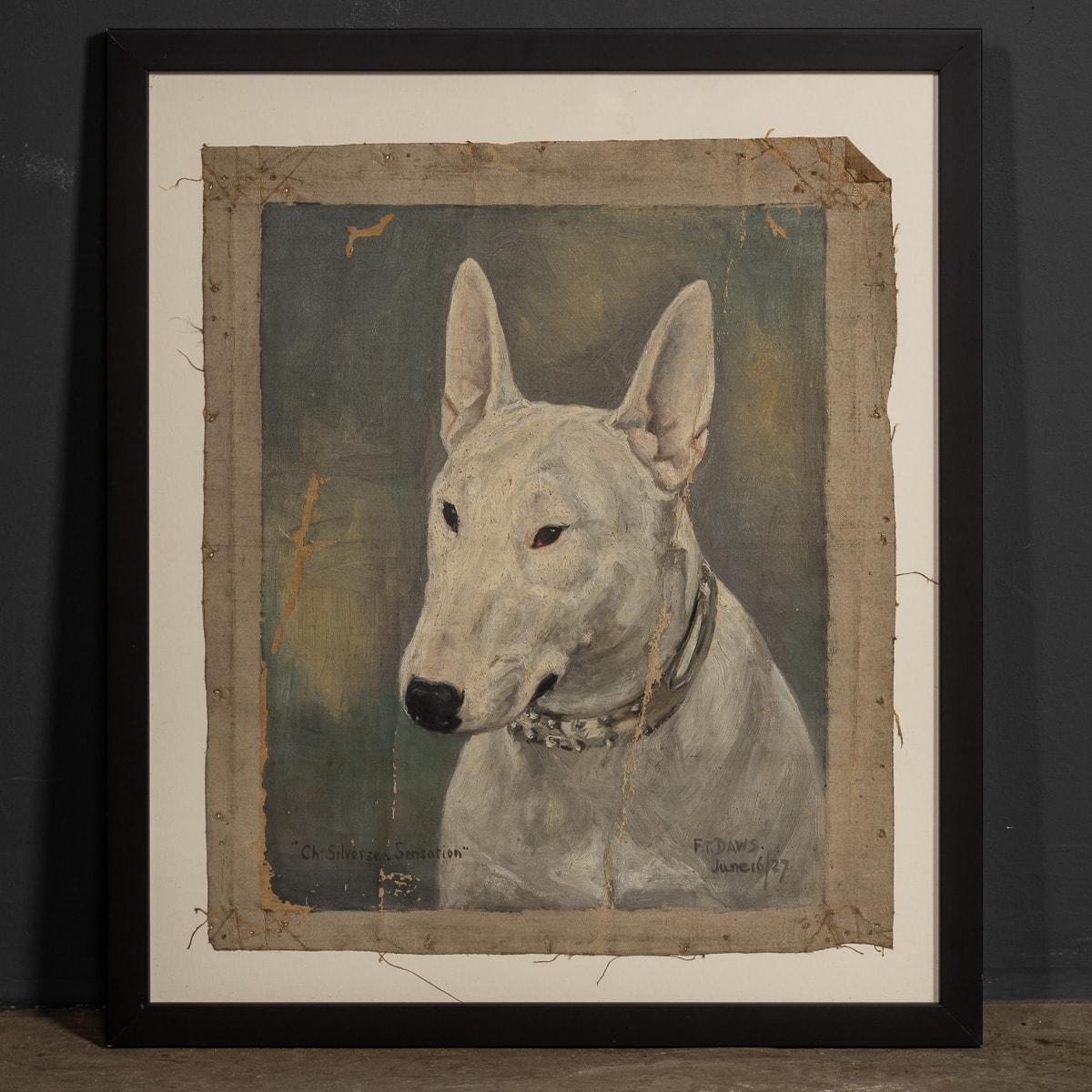 Ein antikes Werk von Frederick Thomas Daws aus dem 20. Jahrhundert in Öl auf Leinwand, das einen englischen Bullterrier darstellt. Daws, der für seine Darstellungen von Champion-Hunden berühmt ist, schuf dieses Werk in den 1920er Jahren in England.