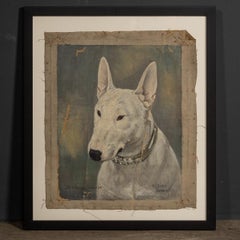 Antique 20thC Framed English Bull Terrier Oil On Canvas By Frederick Thomas Daws