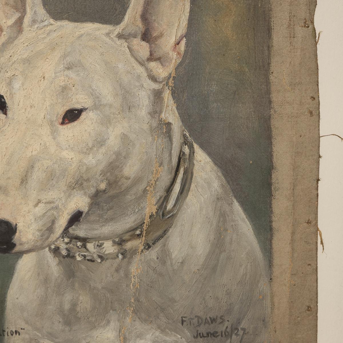 Early 20th Century Antique 20thC Framed English Bull Terrier Oil On Canvas By Frederick Thomas Daws For Sale
