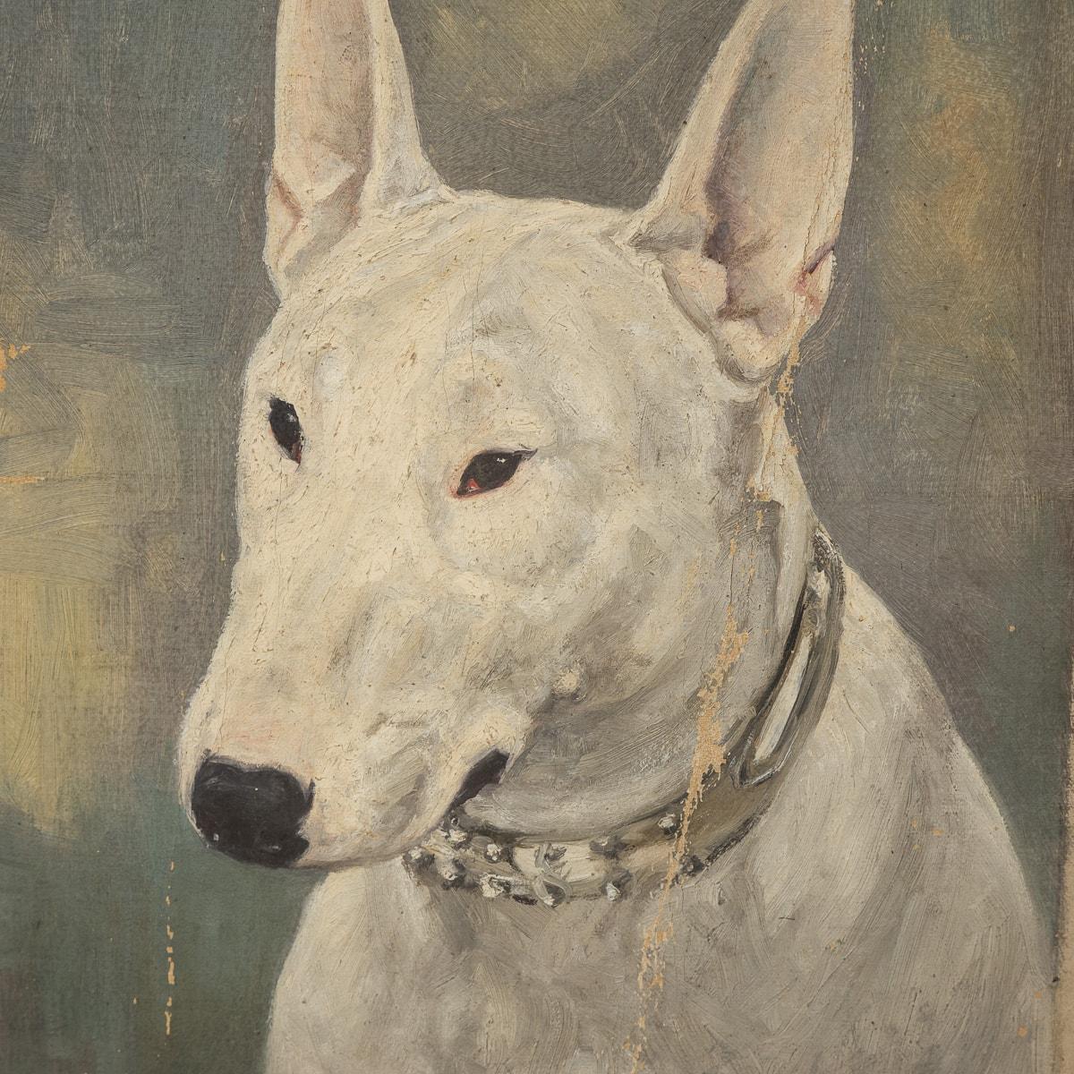 Antique 20thC Framed English Bull Terrier Oil On Canvas By Frederick Thomas Daws For Sale 1