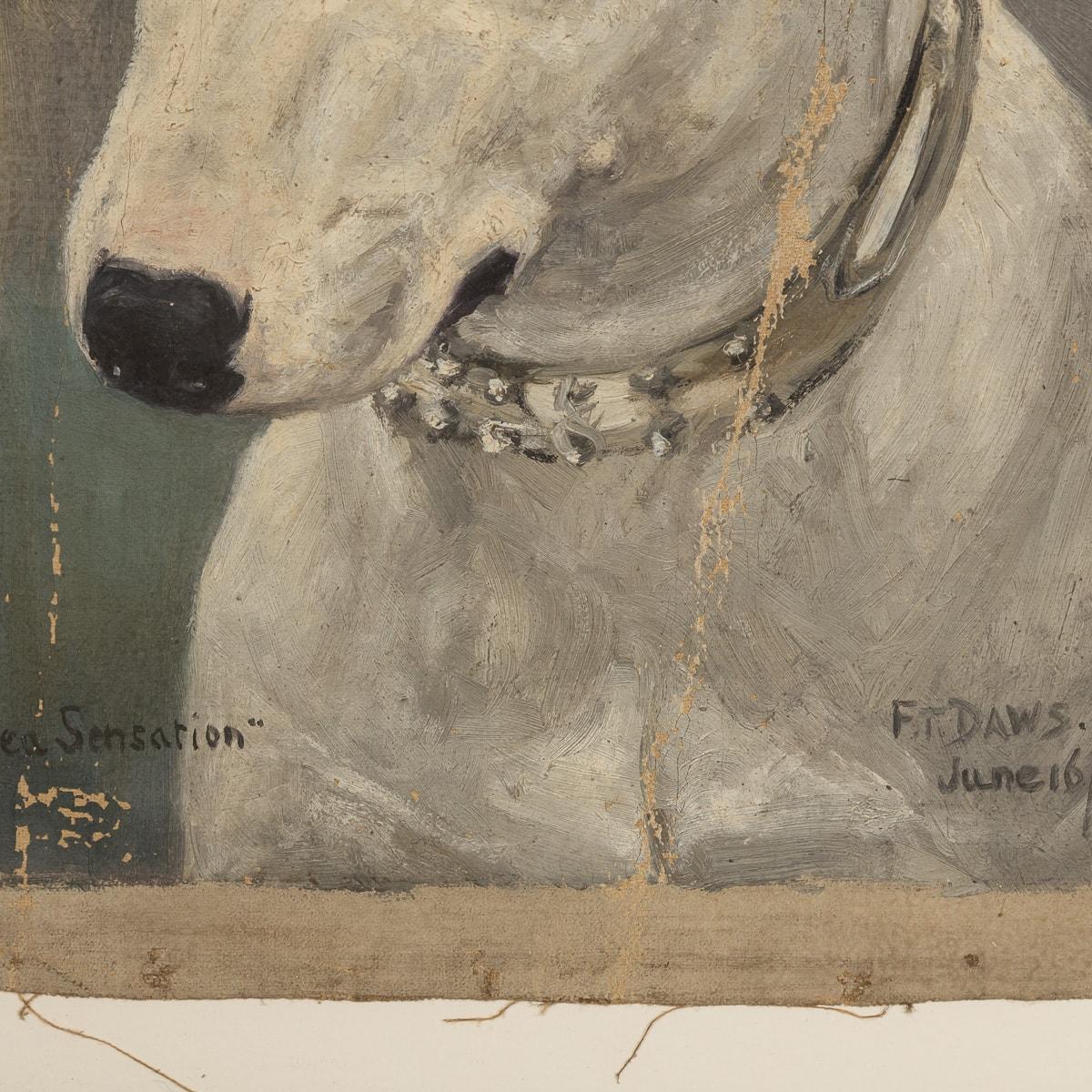 Antique 20thC Framed English Bull Terrier Oil On Canvas By Frederick Thomas Daws For Sale 3
