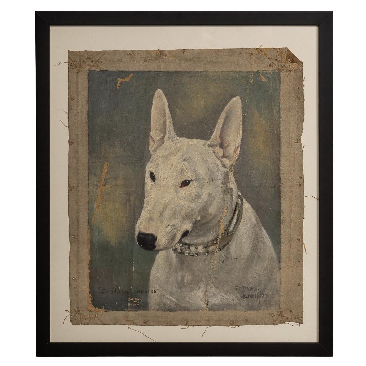 Antique 20thC Framed English Bull Terrier Oil On Canvas By Frederick Thomas Daws For Sale