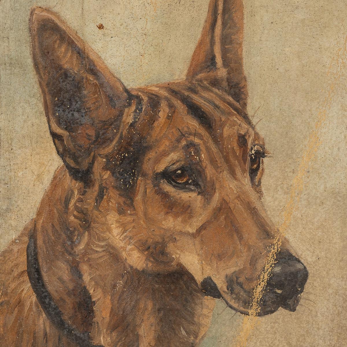 Antique 20thC Framed German Shepherd Oil On Canvas By Frederick T. Daws c.1926 In Good Condition For Sale In Royal Tunbridge Wells, Kent
