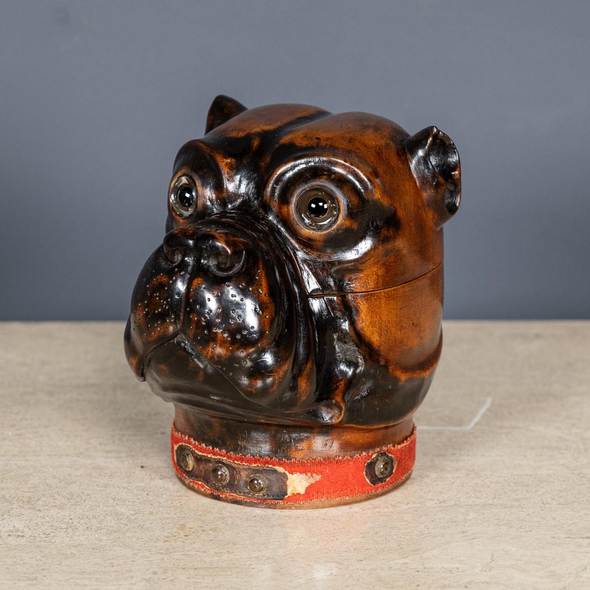 Antikes viktorianisches Lignum-vitae-Tintenfass aus dem frühen 20. Jahrhundert, geschnitzt in Form eines Bulldoggenkopfes. Die Details sind von außergewöhnlicher Qualität, mit Glasaugen und einem roten Filzkragen um die Basis. Das Innere hat ein