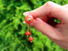 Antique 29.00 Carat Coral and 18 Carat Yellow Gold Drop Earrings